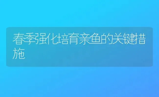 春季强化培育亲鱼的关键措施 | 特种养殖