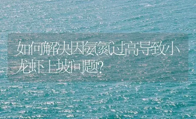 如何解决因氨氮过高导致小龙虾上坡问题？ | 海水养殖