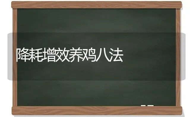 降耗增效养鸡八法 | 家禽养殖