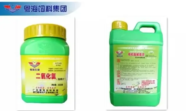 广东肇庆地区罗氏沼虾虾塘混养南美白对虾处理断肠案例