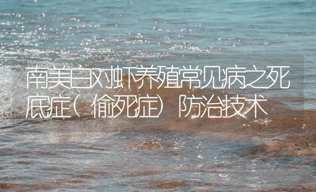 南美白对虾养殖常见病之死底症(偷死症)防治技术 | 海水养殖