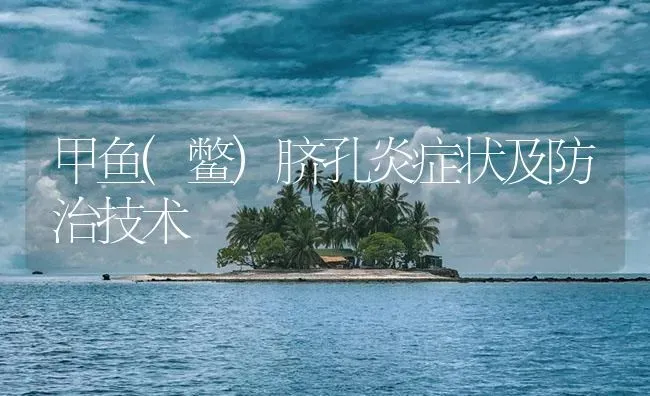 甲鱼(鳖)脐孔炎症状及防治技术 | 养殖病虫害防治