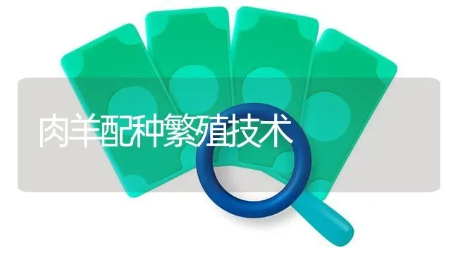 肉羊配种繁殖技术 | 家畜养殖