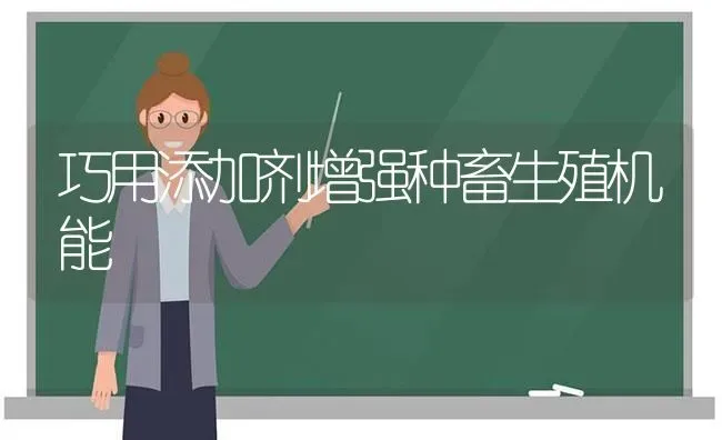 巧用添加剂增强种畜生殖机能 | 家畜养殖