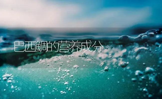 巴西鲷的营养成分 | 海水养殖