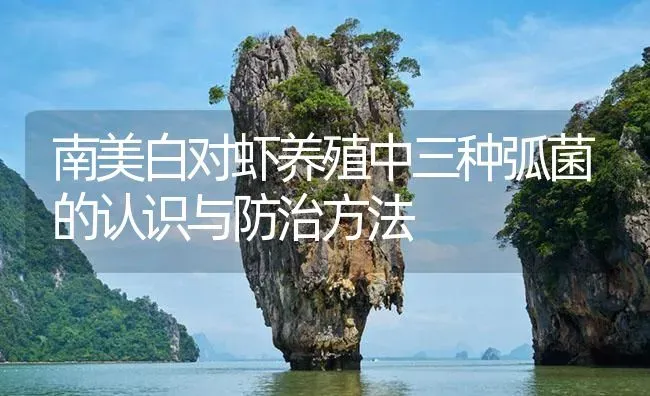 南美白对虾养殖中三种弧菌的认识与防治方法 | 海水养殖