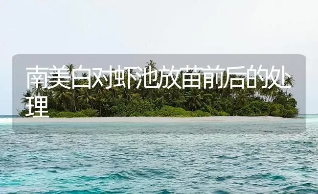 南美白对虾池放苗前后的处理 | 海水养殖