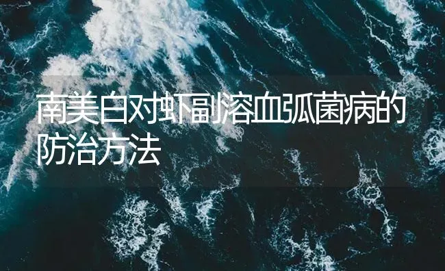 南美白对虾副溶血弧菌病的防治方法 | 海水养殖