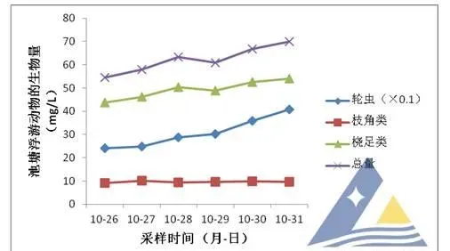 “利苗多”处理对虾池塘蓝藻