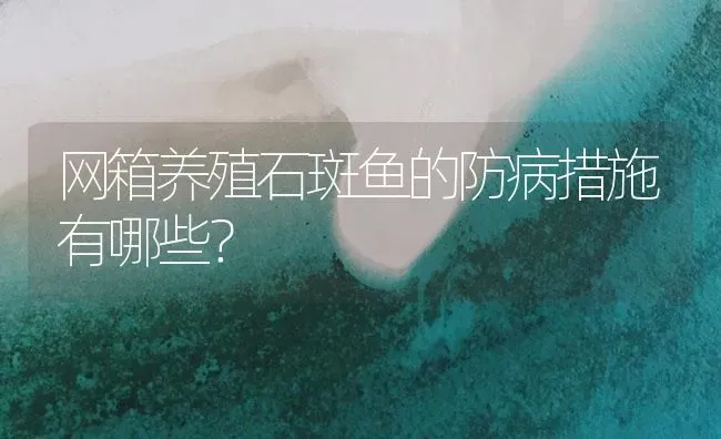 网箱养殖石斑鱼的防病措施有哪些？ | 海水养殖