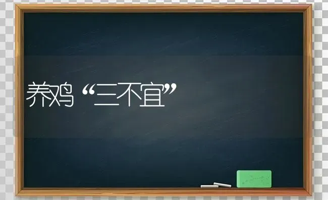 养鸡“三不宜” | 家禽养殖