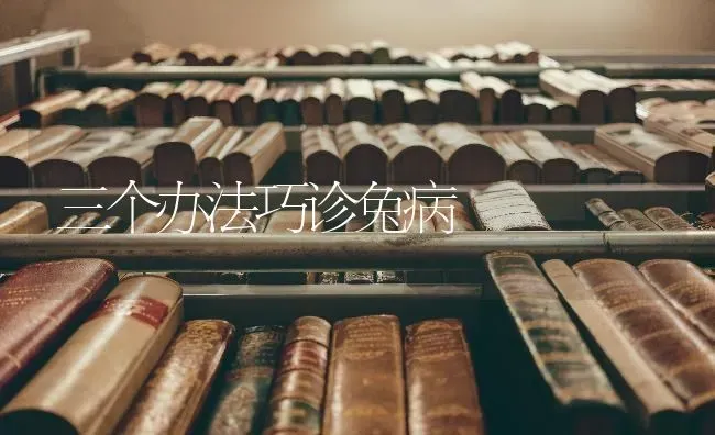三个办法巧诊兔病 | 家畜养殖