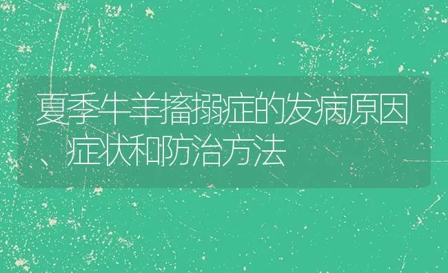 夏季牛羊搐搦症的发病原因、症状和防治方法 | 家畜养殖