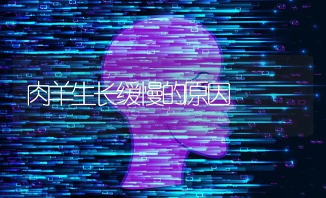 肉羊生长缓慢的原因 | 家畜养殖