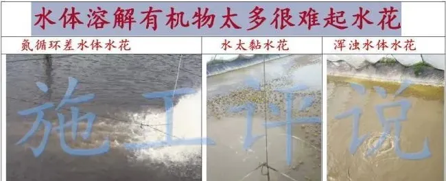 看池塘水花就能知道水质如何？水产养殖户如何掌握这个诀窍？