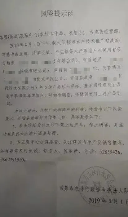 当下季节肥水与青苔斩不断理还乱的关系！青苔还有好处？