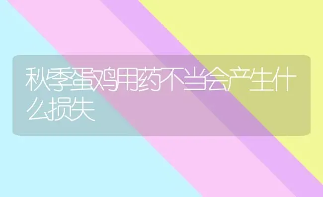 秋季蛋鸡用药不当会产生什么损失 | 养殖病虫害防治