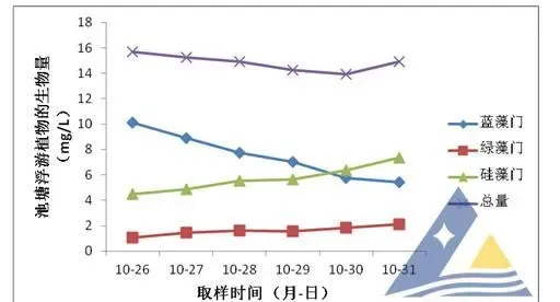 “利苗多”处理对虾池塘蓝藻