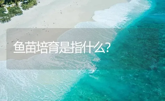 鱼苗培育是指什么？ | 淡水养殖