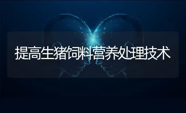 提高生猪饲料营养处理技术 | 家畜养殖