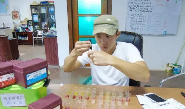 广东江门新会南美白对虾养殖户成功突破养殖瓶颈