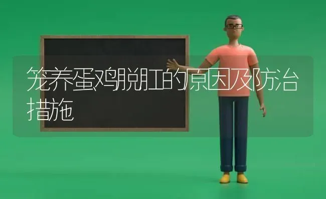 笼养蛋鸡脱肛的原因及防治措施 | 家禽养殖