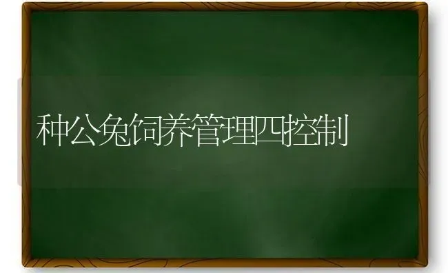 种公兔饲养管理四控制 | 家畜养殖