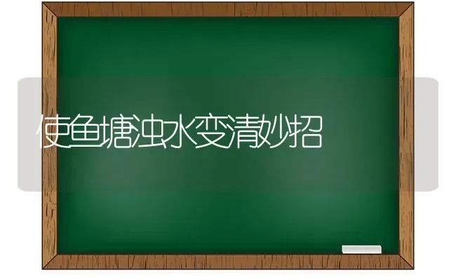 使鱼塘浊水变清妙招 | 淡水养殖