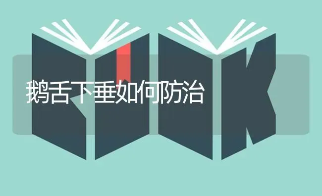 鹅舌下垂如何防治 | 家禽养殖