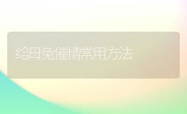 给母兔催情常用方法 | 家畜养殖