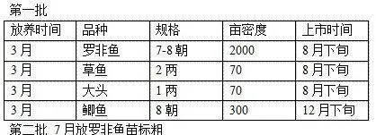 罗非鱼养殖户可从两方面提升池塘的综合效益