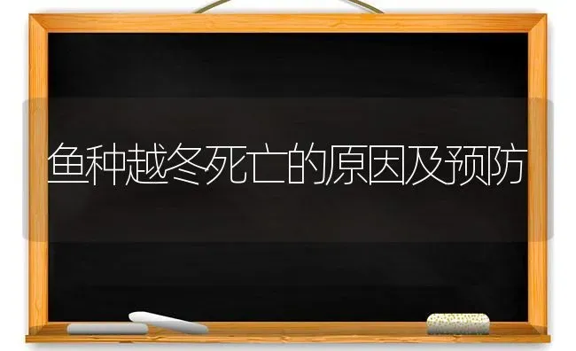 鱼种越冬死亡的原因及预防 | 淡水养殖