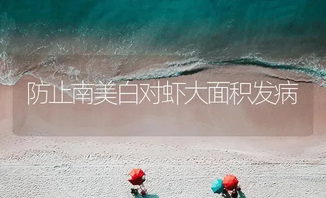 防止南美白对虾大面积发病 | 海水养殖