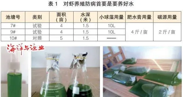 小球藻塘边简易扩培方法及其在对虾池塘中的使用效果分析