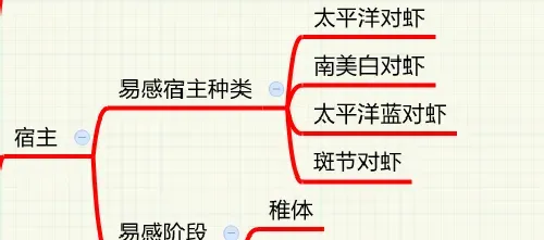 鱼病知识——传染性肌肉坏死病