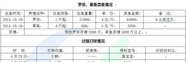 罗非鱼全程投料养殖六个月料比1.05