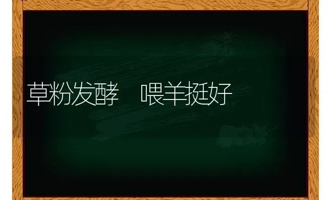 草粉发酵 喂羊挺好 | 家畜养殖