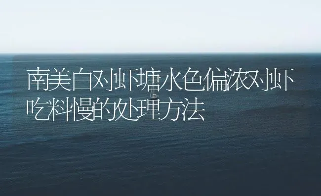 南美白对虾塘水色偏浓对虾吃料慢的处理方法 | 海水养殖