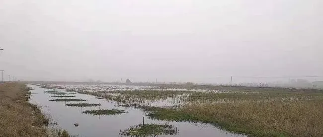 12月份龙虾田技术管理要点