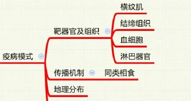 鱼病知识——传染性肌肉坏死病