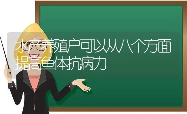 水产养殖户可以从八个方面提高鱼体抗病力 | 动物养殖百科