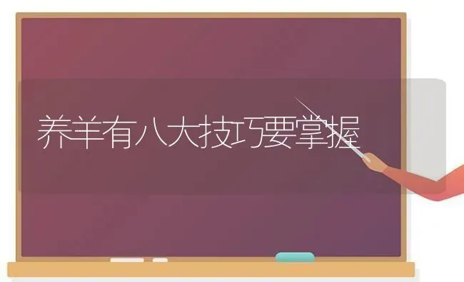 养羊有八大技巧要掌握 | 家畜养殖