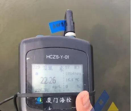 [每周一例]晴天后草鱼种发生急性气泡病