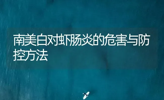 南美白对虾肠炎的危害与防控方法 | 海水养殖