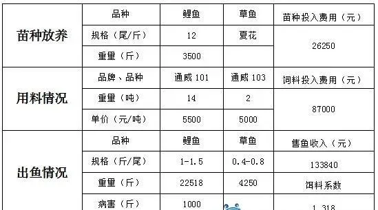 黄河滩陕西鲤鱼养殖户清塘卖鱼 饵料系数创新低