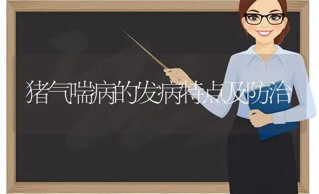 猪气喘病的发病特点及防治 | 家畜养殖