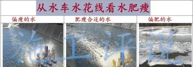 看池塘水花就能知道水质如何？水产养殖户如何掌握这个诀窍？