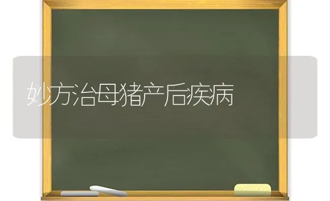 妙方治母猪产后疾病 | 家畜养殖