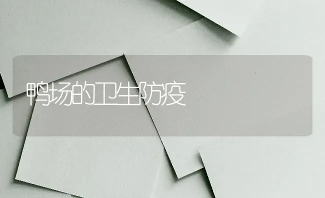 鸭场的卫生防疫 | 家禽养殖