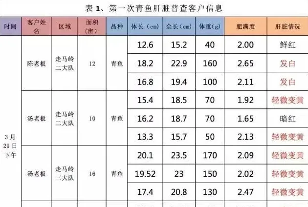 鱼苗价格飙升，鱼体健康堪忧，保苗内服刻不容缓